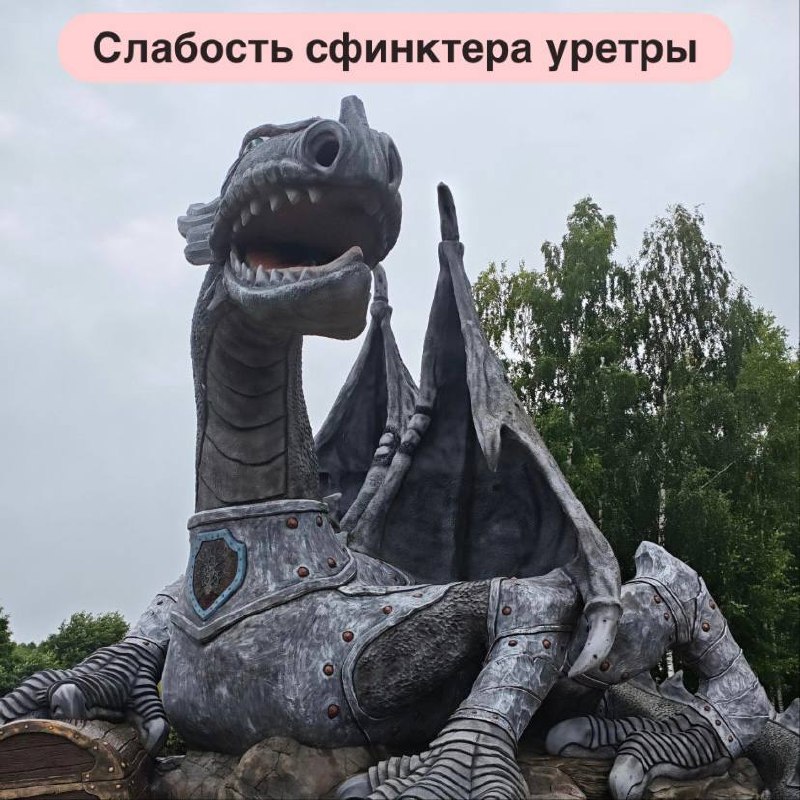 Иллюстрация к публикации «Слабость сфинктера уретры и гипотиреоз», 1
