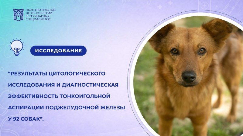 Иллюстрация к публикации «Тонкоигольная аспирация поджелудочной железы», 1